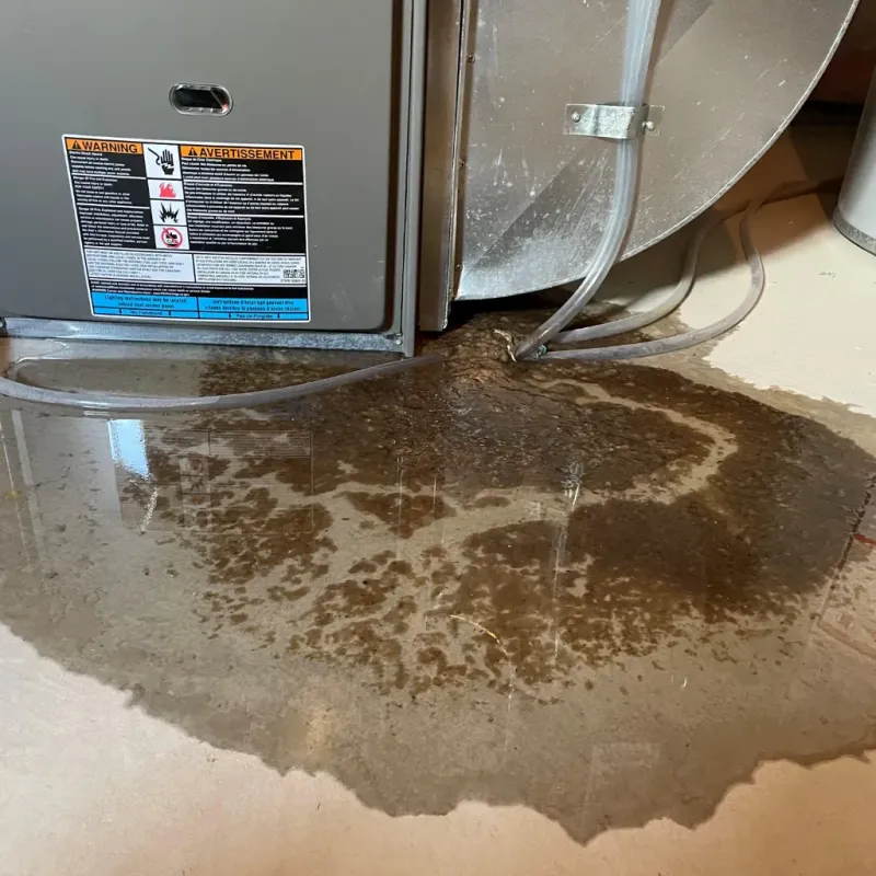 Appliance Leak Cleanup in Tyler, TX